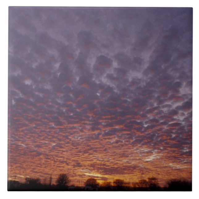 N.A., USA, New mexico, nära Las Cruces Kakelplatta (Framsidan)