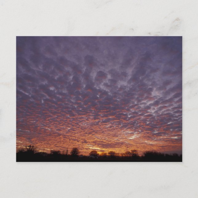 N.A., USA, New Mexico, nära Las Cruces, Vykort (Framsida)