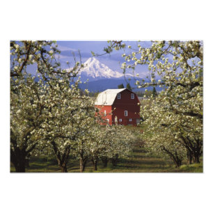 N.A., USA, Oregon, Hood River County. Röd Fototryck