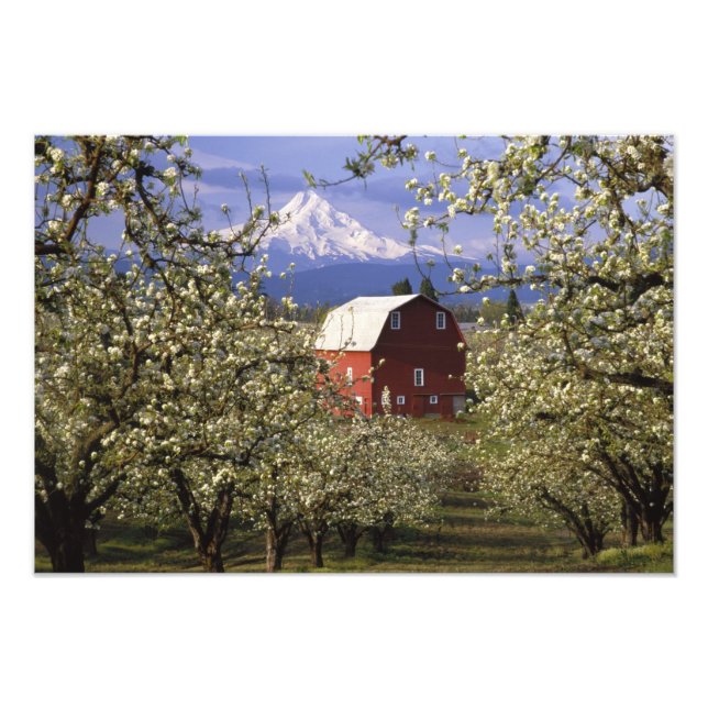 N.A., USA, Oregon, Hood River County. Röd Fototryck (Framsidan)