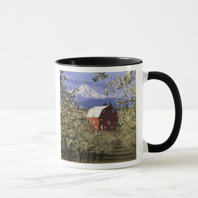 N.A., USA, Oregon, Hood River County. Röd Mugg (Höger)