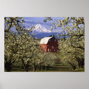 N.A., USA, Oregon, Hood River County. Röd Poster