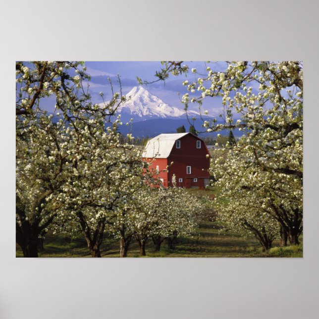 N.A., USA, Oregon, Hood River County. Röd Poster (Framsidan)