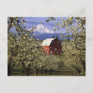 N.A., USA, Oregon, Hood River County. Röd Vykort