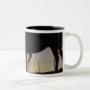 N.A., USA, Oregon, Seneca, Ponderosa Ranch, Två-Tonad Mugg