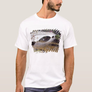N.A., USA, South Carolina, Charleston. Magnolia Tee