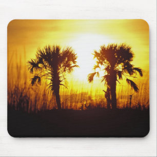 N.A., USA, South Carolina, Charleston. Solnedgång Musmatta