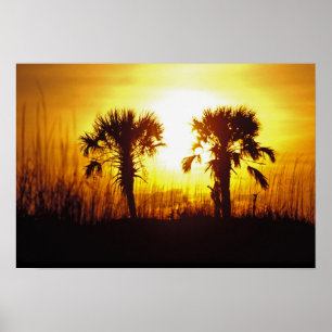 N.A., USA, South Carolina, Charleston. Solnedgång Poster