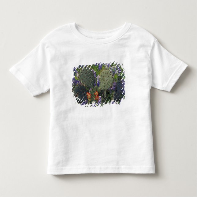 N.A., USA, Texas, Cactus omgiven av Tee Shirt (Framsida)