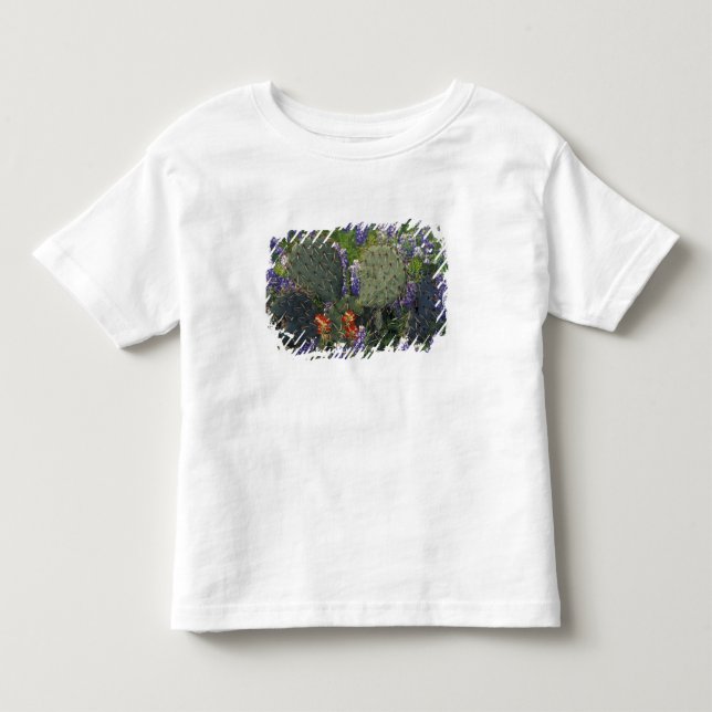 N.A., USA, Texas, Kaktus omgiven av Tee Shirt (Framsida)