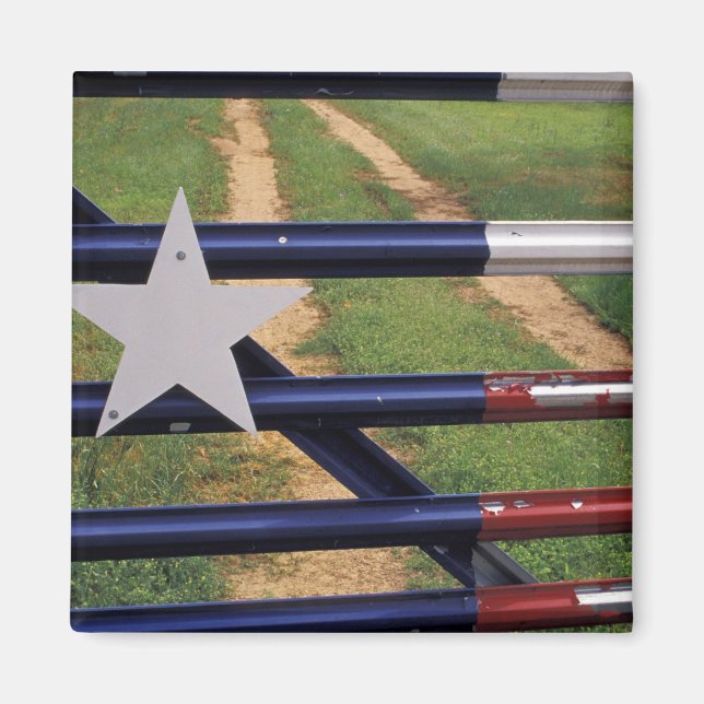N.A., USA, Texas, Lake Buchanan, Texas flagga Magnet (Framsidan)