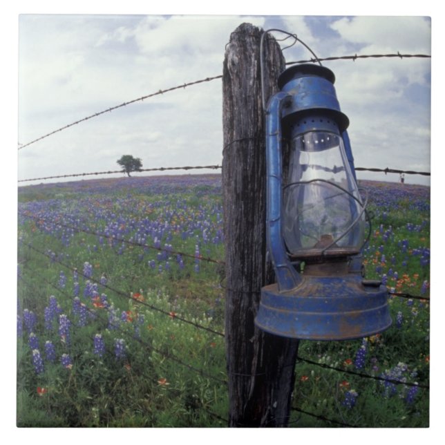 N.A., USA, Texas, Llano, Blå Lantern, Ek Kakelplatta (Framsidan)