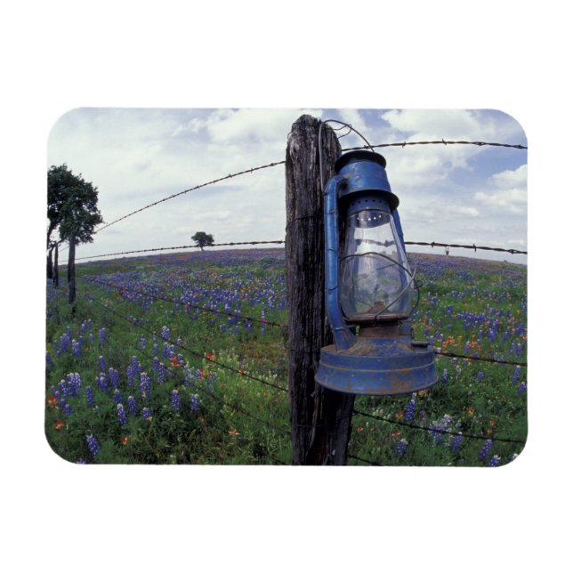 N.A., USA, Texas, Llano, Blå Lantern, Ek Magnet (Horisontell)