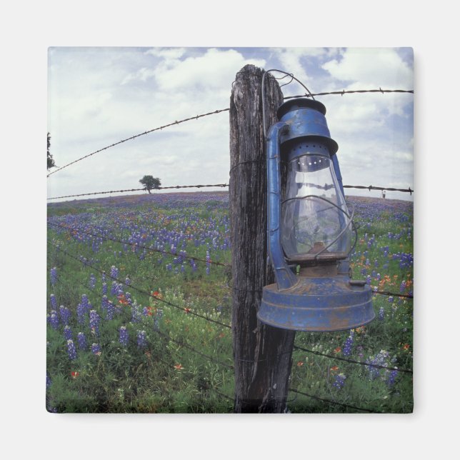 N.A., USA, Texas, Llano, Blå Lantern, Ek Magnet (Framsidan)