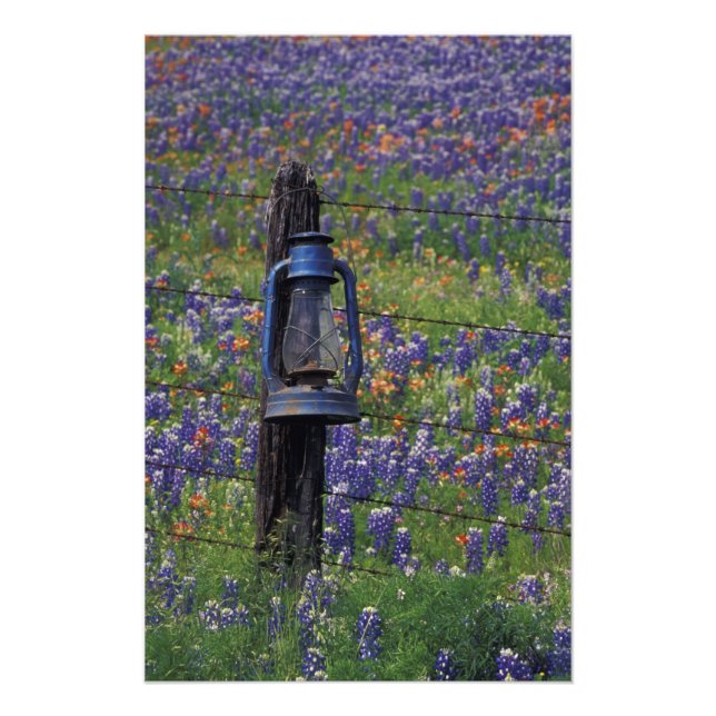 N.A., USA, Texas, Llano, Blå Lantern och Fototryck (Framsidan)