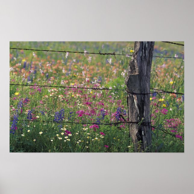 N.A., USA, Texas, Lytle, Fence-post och Poster (Framsidan)
