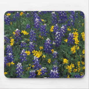 N.A, USA, Texas, Marble Falls, Blå Bonnets Musmatta