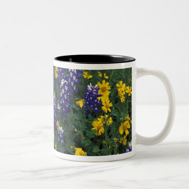 N.A, USA, Texas, Marble Falls, Blå Bonnets Två-Tonad Mugg (Höger)