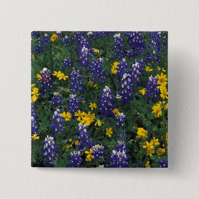 N.A, USA, Texas, Marble Falls, Blå Bonnetter Knapp (Framsida)