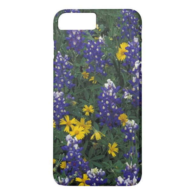 N.A., USA, Texas, Marble Falls, Blue Bonnets Case-Mate iPhone Skal (Baksida)