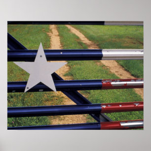 N.A., USA, Texas, Sjö Buchanan, Texas flagga Poster