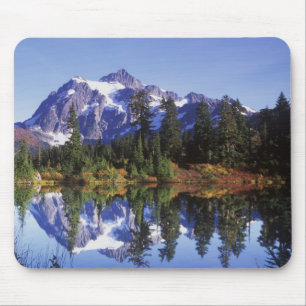 N.A., USA, Washington, Mt. Baker & Snoqualmie Musmatta