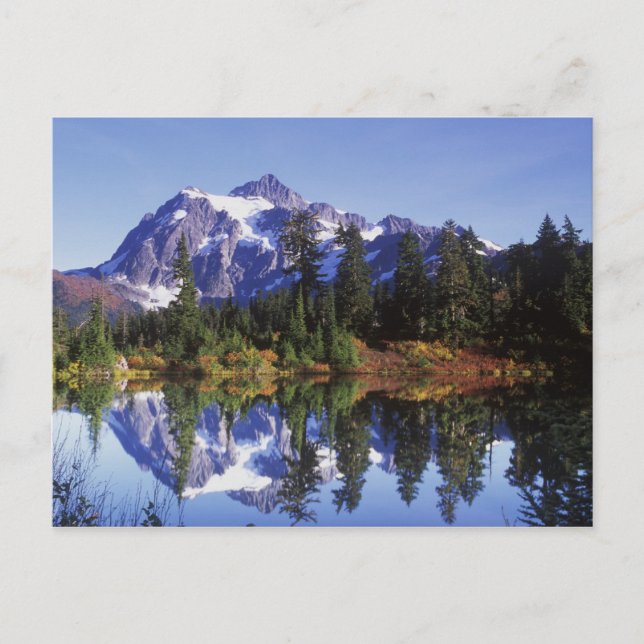 N.A., USA, Washington, Mt. Baker & Snoqualmie Vykort (Framsida)
