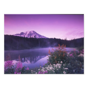 N.A., USA, Washington, Mt. Rainier National 2 Fototryck
