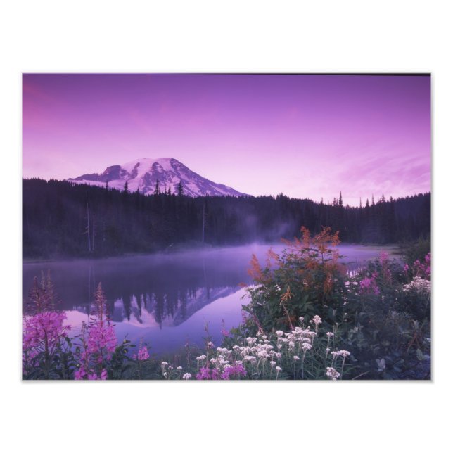 N.A., USA, Washington, Mt. Rainier National 2 Fototryck (Framsidan)