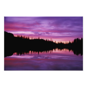 N.A., USA, Washington, Mt. Rainier National 3 Fototryck