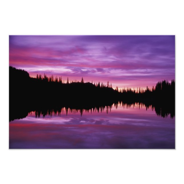 N.A., USA, Washington, Mt. Rainier National 3 Fototryck (Framsidan)