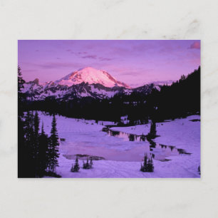 N.A., USA, Washington, Mt. Rainier National 3 Vykort