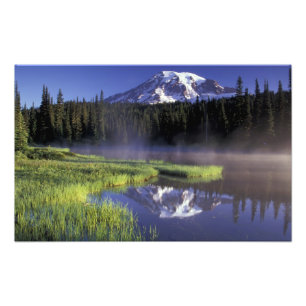 N.A., USA, Washington, Mt. Rainier National 5 Fototryck