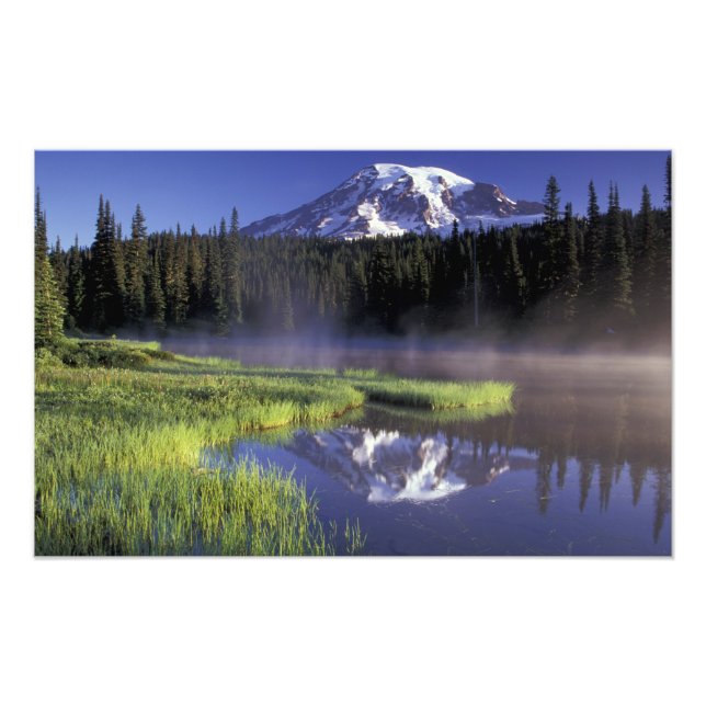 N.A., USA, Washington, Mt. Rainier National 5 Fototryck (Framsidan)