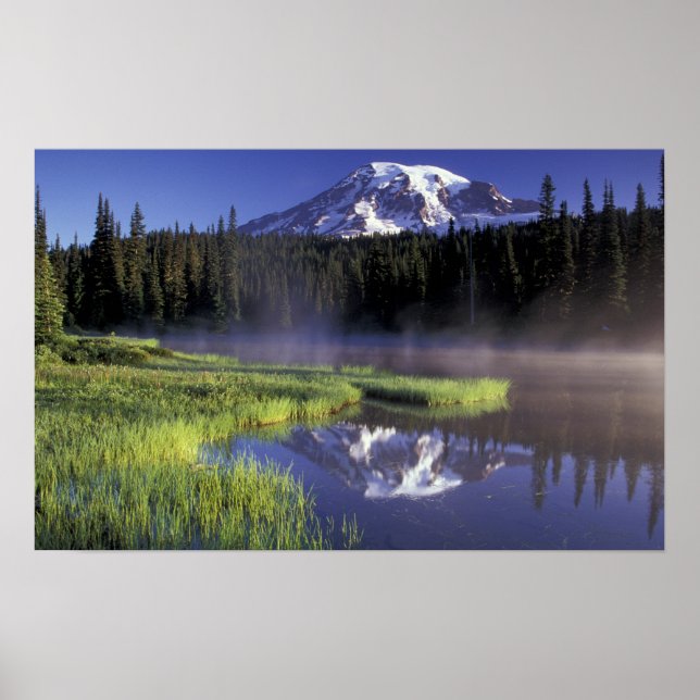 N.A., USA, Washington, Mt. Rainier National 5 Poster (Framsidan)