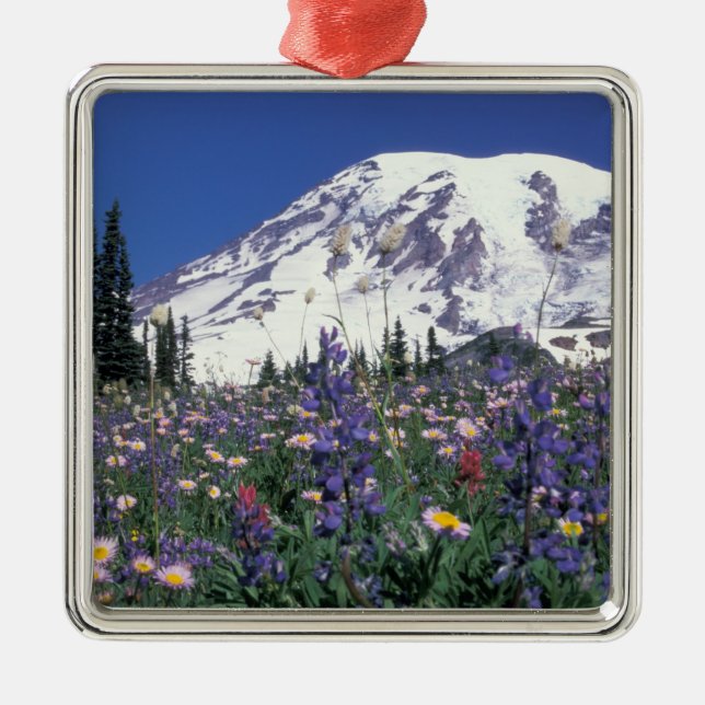 N.A., USA, Washington Mt. Rainier och Julgransprydnad Metall (Framsidan)