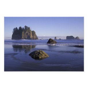 N.A., USA, Washington, Olympic National Park, 2 Fototryck