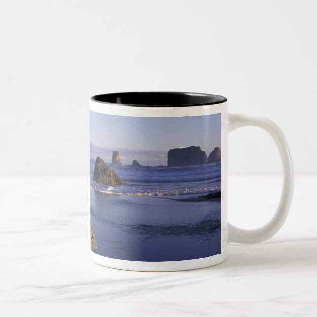N.A., USA, Washington, Olympic National Park, 3 Två-Tonad Mugg (Höger)