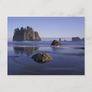 N.A., USA, Washington, Olympic National Park, 3 Vykort