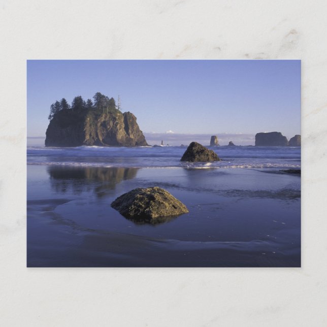 N.A., USA, Washington, Olympic National Park, 3 Vykort (Framsida)