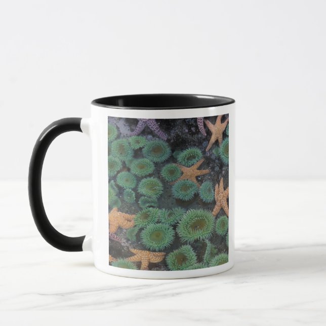 N.A., USA, Washington, Olympic National Park Mugg (Vänster)