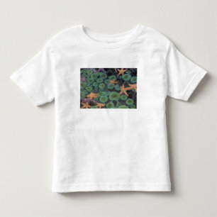 N.A., USA, Washington, Olympic National Park T-shirt