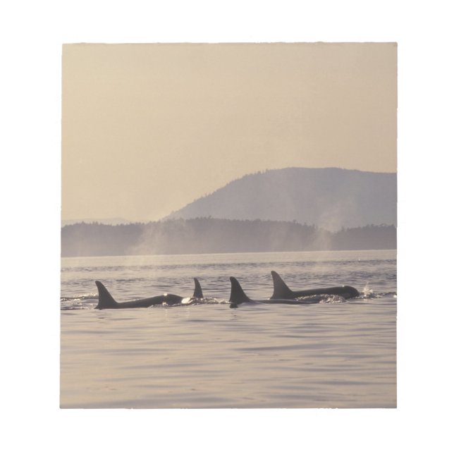 N.A., USA, Washington, San Juan Islands Orca Anteckningsblock (Framsida)
