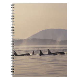 N.A., USA, Washington, San Juan Islands Orca Anteckningsbok