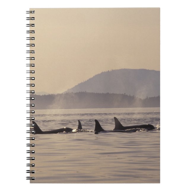 N.A., USA, Washington, San Juan Islands Orca Anteckningsbok (Framsidan)