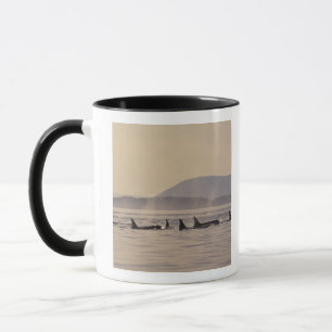 N.A., USA, Washington, San Juan Islands Orca Mugg
