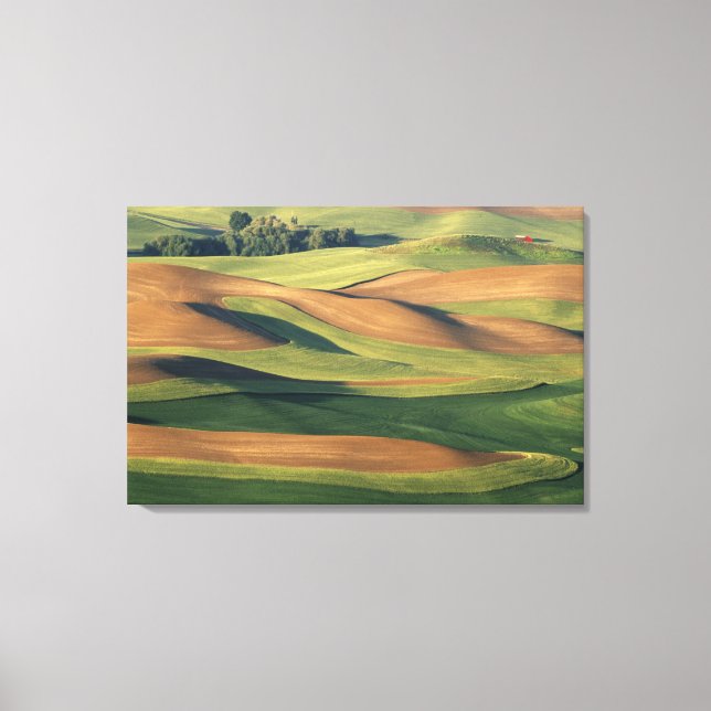 N.A., USA, Washington, Whitman County. Canvastryck (Framsida)