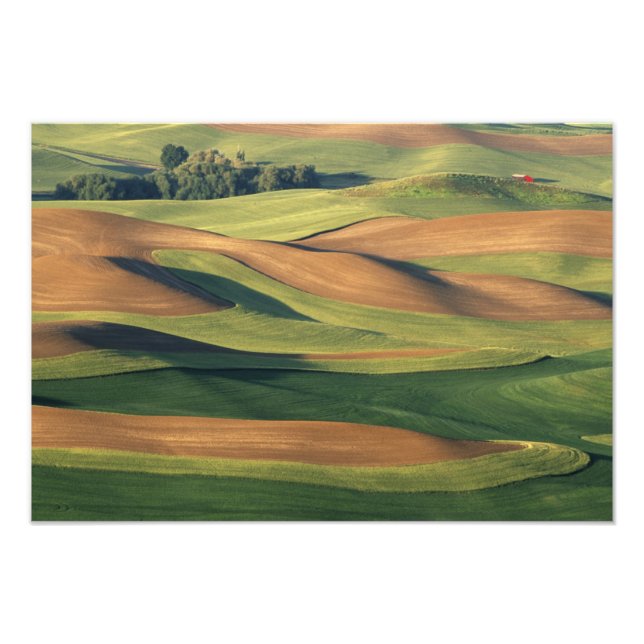 N.A., USA, Washington, Whitman County. Fototryck (Framsidan)