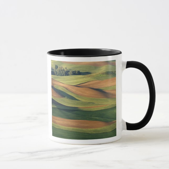 N.A., USA, Washington, Whitman County. Mugg (Höger)
