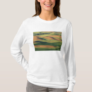 N.A., USA, Washington, Whitman County. T-shirt